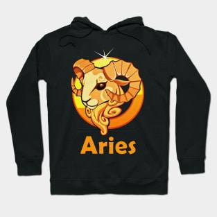 Aries zodiac sign Hoodie